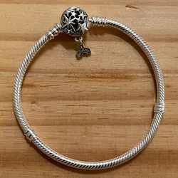 Pulsera Flexible Disney Park 