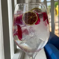 Gin Tonic