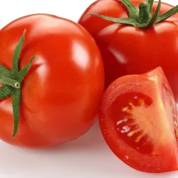 Tomate