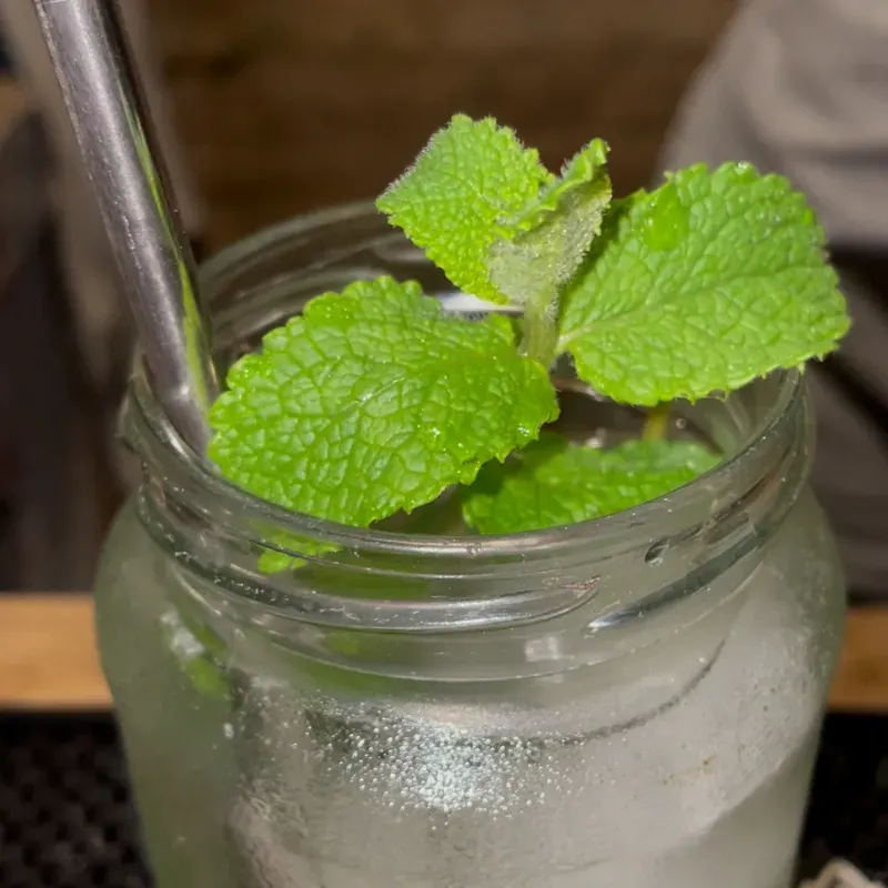 Mojito 