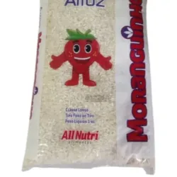 Arroz 