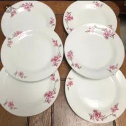 Platos de Porcelana 