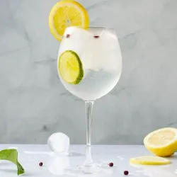 Gin Tonic