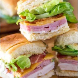 Sándwich Vista Alegre