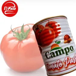 Pasta de tomate 