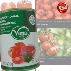 Pasta de tomate