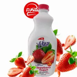Yogurt Probiótico 