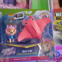 Juego Paw Patrol y Raya