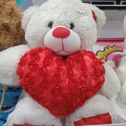 Oso de peluche 