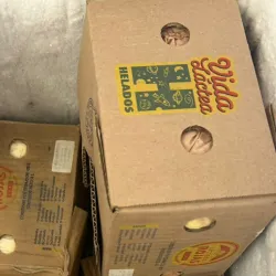 Caja de helado Vida lactea 4 litro