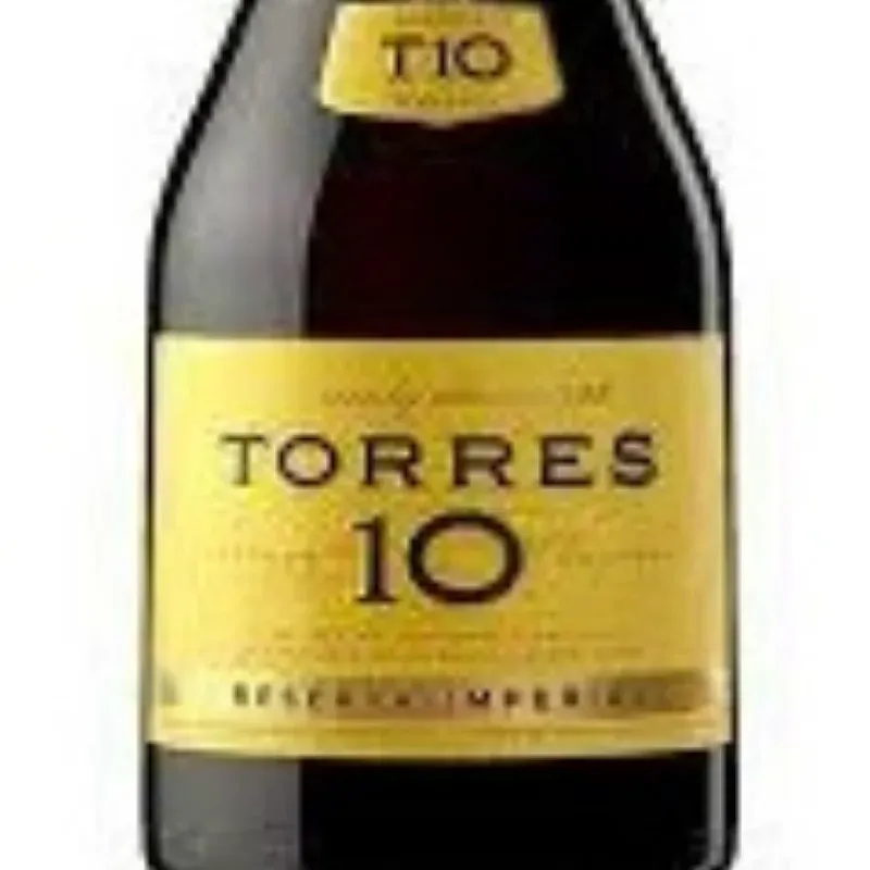 BRANDY TORRES 10