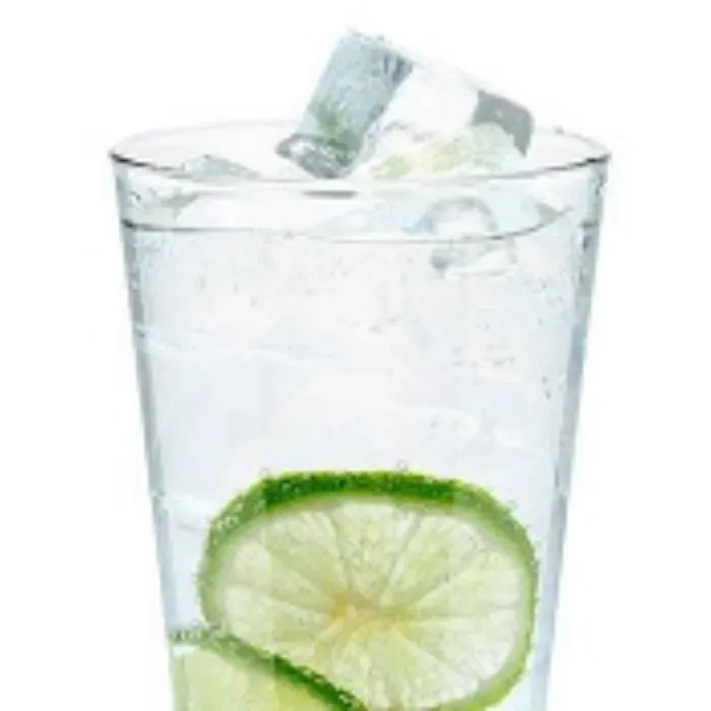 GIN TONIC