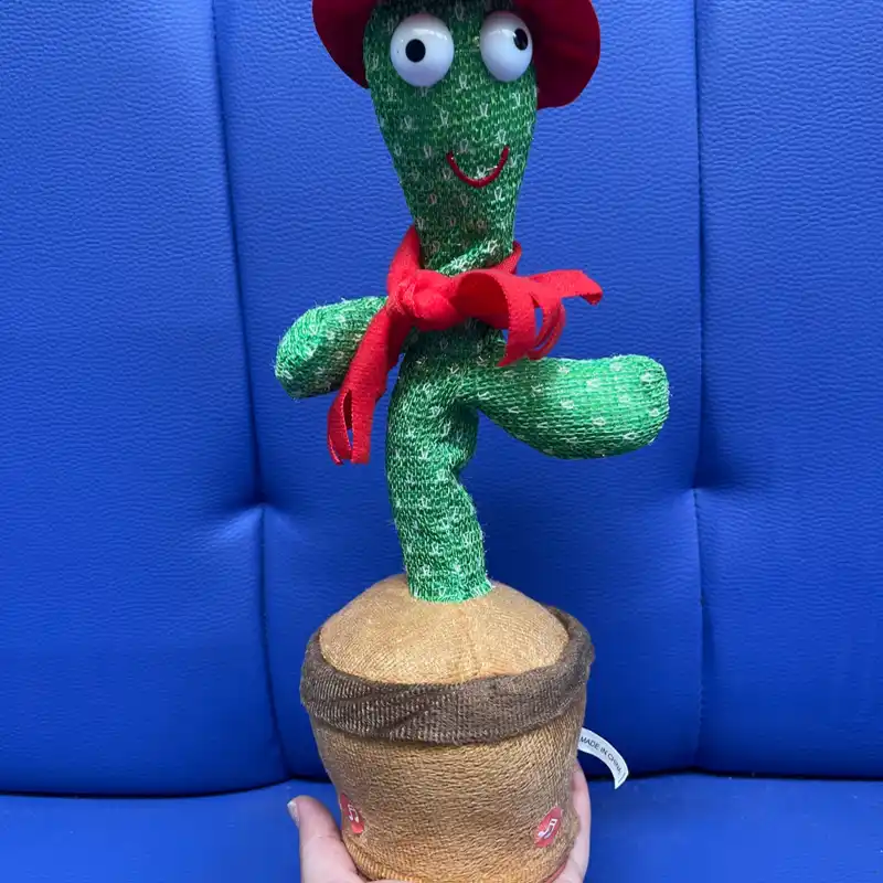 Cactus bailarín
