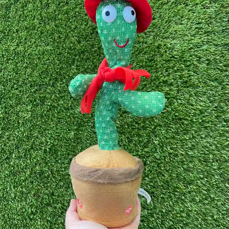 Cactus bailarín