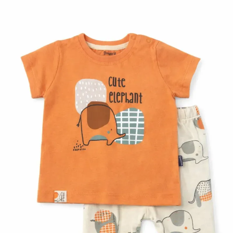 Conjunto Cute Elephant para Bebé