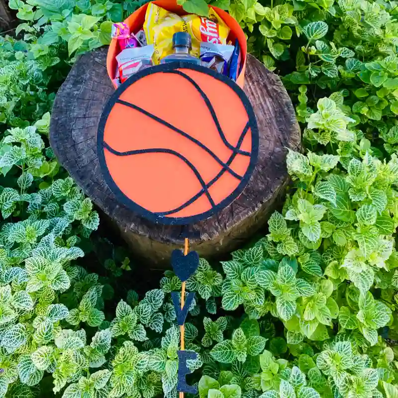 Balón de Basquetbol 