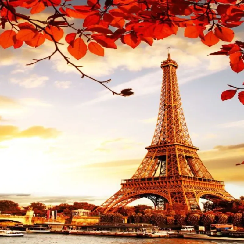 TORRE EIFFEL Y ARBOLES ROJOS