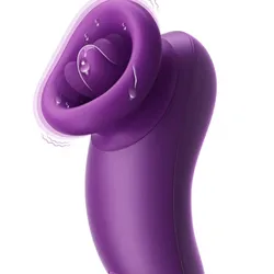 Vibrator