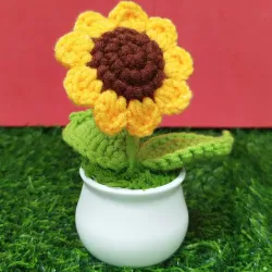 Girasol