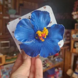 Hebilla para el cabello: Flor azul