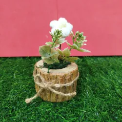 Tronco pequeño