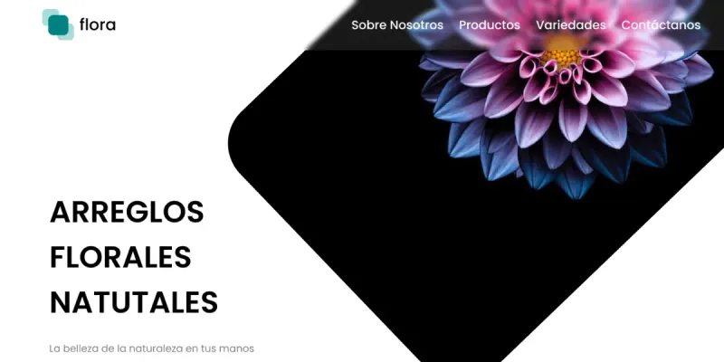 Diseño de Landing Page