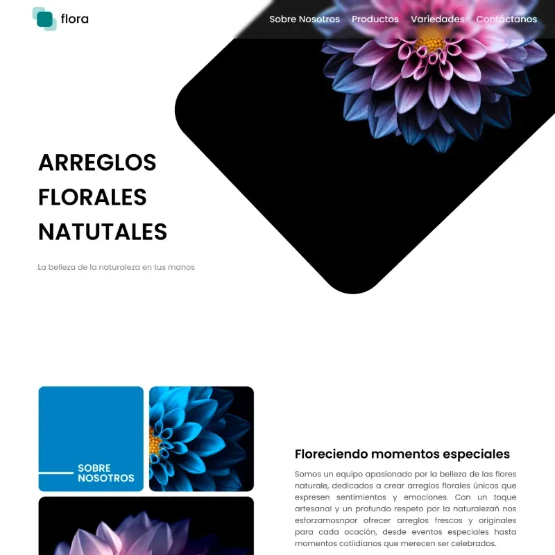 Diseño de Landing Page