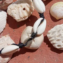 Pulsera Cauri
