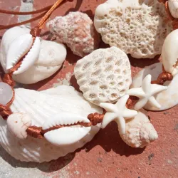 Pulsera Cauri