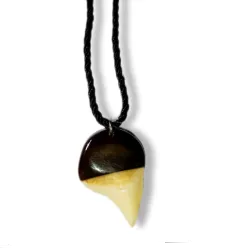 Colgante de colmillo de tiburón 🦈