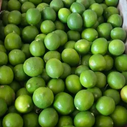 Limón