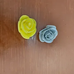 Flores foamy 