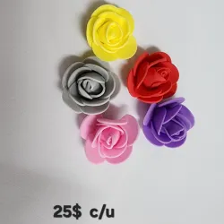 Flores foamy 