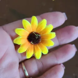 Girasol.
