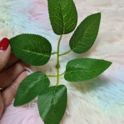 Hojas de rosa