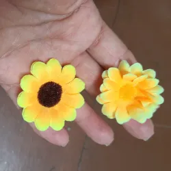 Margaritas 