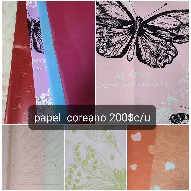 Papel.coreano