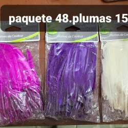 Paquete plumas × 48 unidades 