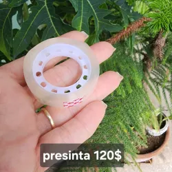 Presinta trasparente