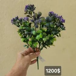 Ramo follaje violeta hoja redonda