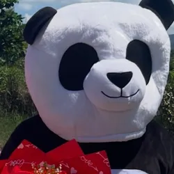 Animacion de oso panda 