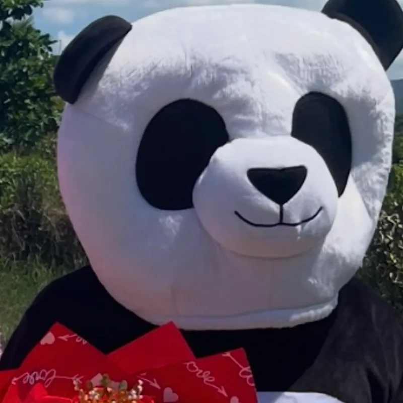 Animacion de oso panda 