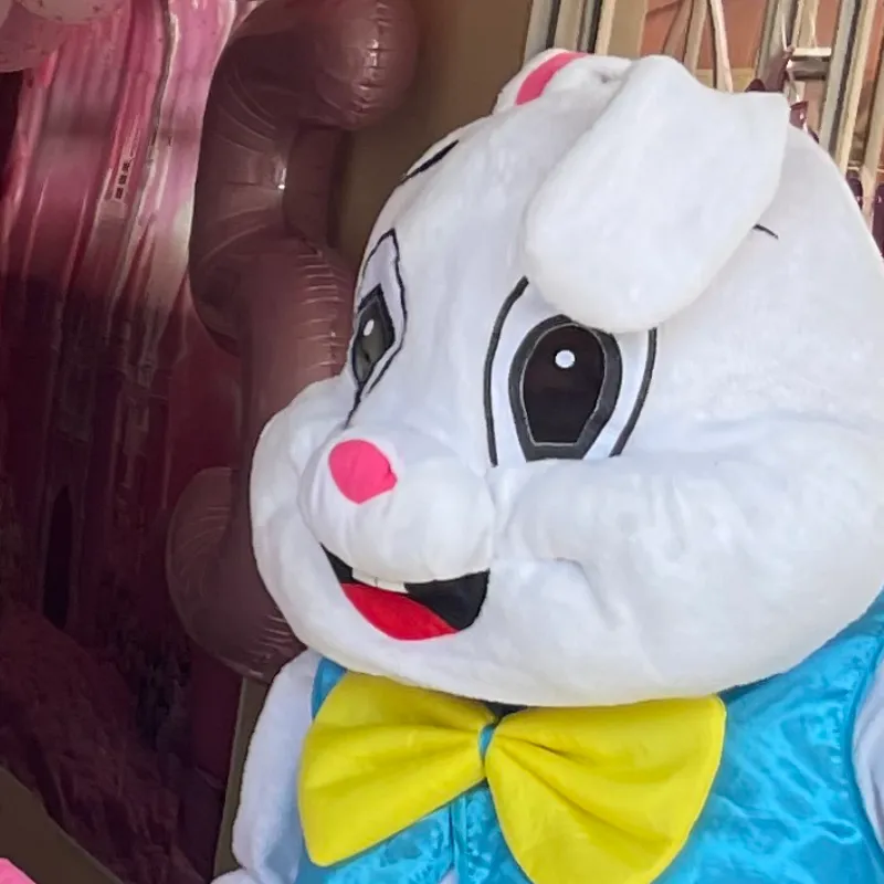 Conejo buny 
