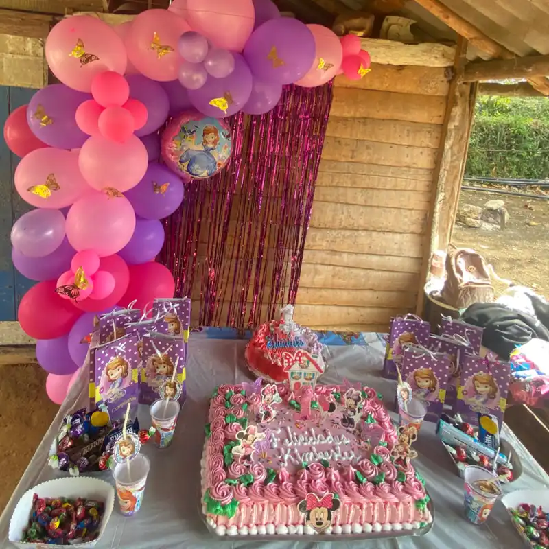 Decoraciones de fiestas 