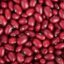 Frijoles colorados 
