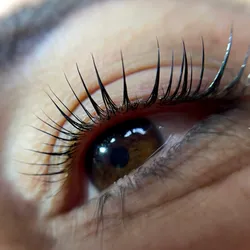 Lifting de Pestañas + Tinte