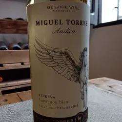 Andica Sauvignon blanc, Reserva