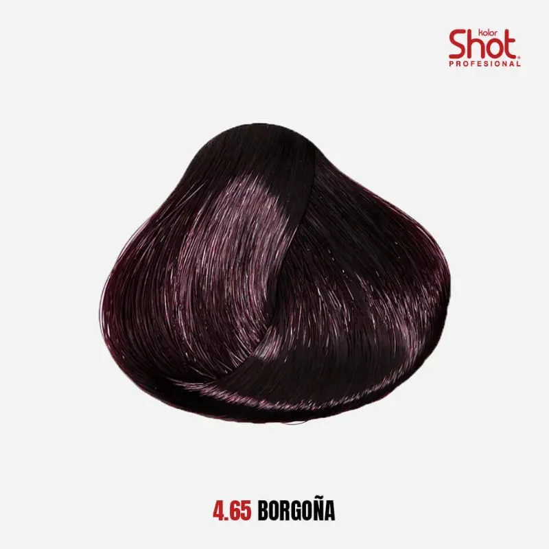 Tinte Kolor Shot Borgoña (#4.65)