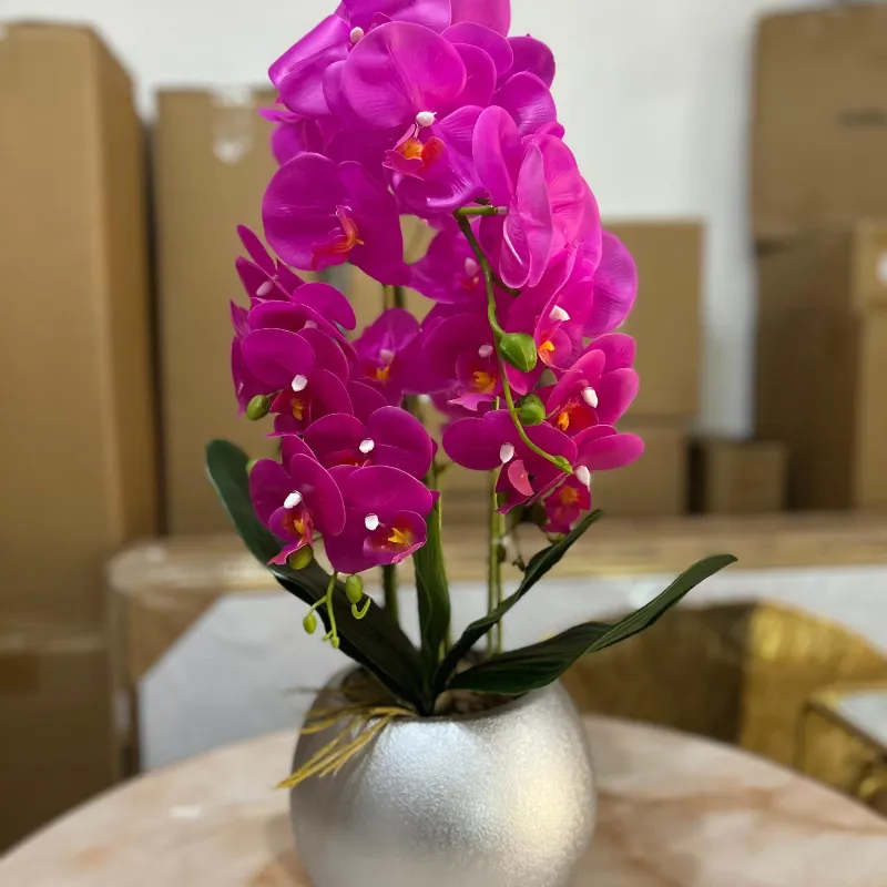 Orquíde con base