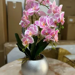 Orquíde con base